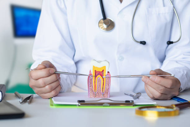 Best Emergency Root Canal Treatment in American Fork, UT
